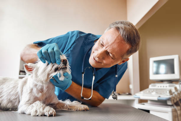 Best Emergency Root Canal Treatment in Tulsa, OK